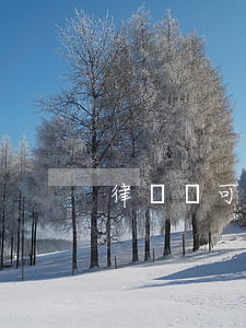 律師說可以取保成功率可信嗎