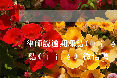 律師說逾期凍結(jié)微信(律師可以凍結(jié)微信嗎)