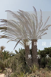律師說離婚不需要對方同意(女方請律師離婚男方不同意)