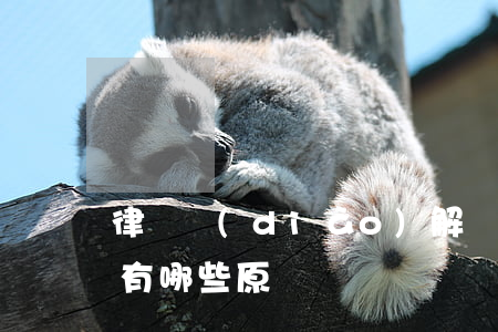 律師調(diào)解員調(diào)解有哪些原則