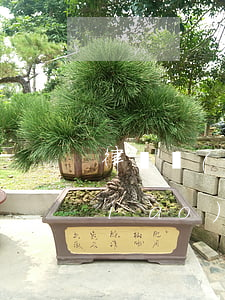 律師調(diào)解有用嗎(律師在調(diào)解中的作用)