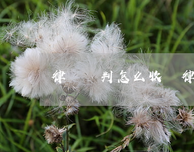 律師談判怎么收費(律師面談怎么收費)