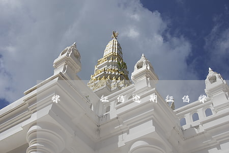 律師講征信逾期(征信律師咨詢律師)
