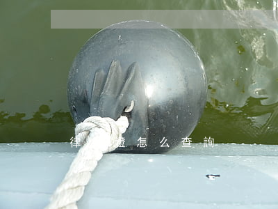 律師證怎么查詢