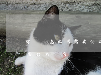 律師證怎么考需要什么條件(律師證怎么考需要什么條件)