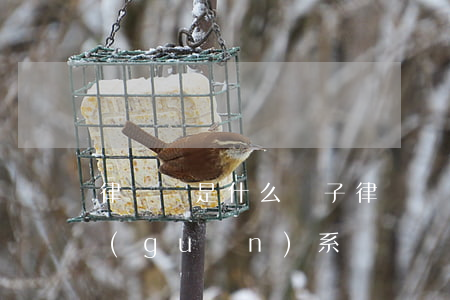 律師證是什么樣子(律師證和司法證是什么關(guān)系)