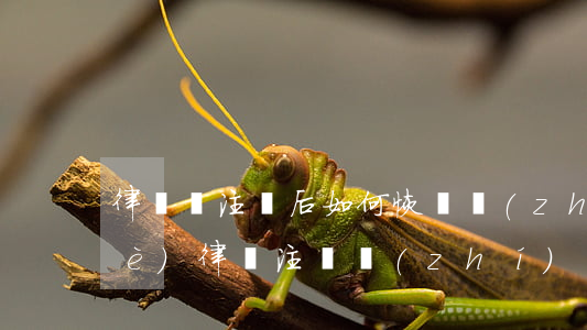 律師證注銷后如何恢復執(zhí)業(yè)，律師注銷執(zhí)業(yè)證后怎么恢復