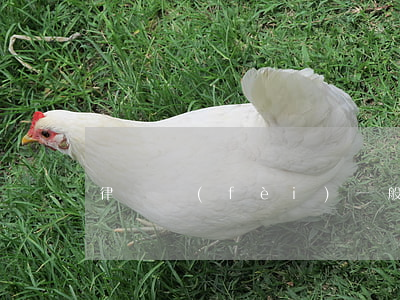 律師費(fèi)一般如何計(jì)算