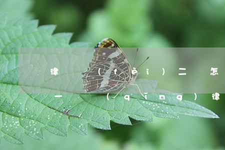 律師費(fèi)二審怎么收費(fèi)(一審請(qǐng)律師二審還要收費(fèi)嗎)