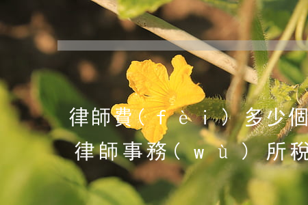 律師費(fèi)多少個稅點(diǎn)(律師事務(wù)所稅點(diǎn)多少)
