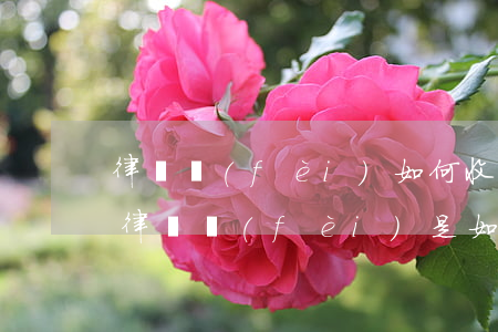律師費(fèi)如何收取費(fèi)用(律師費(fèi)是如何收取的)
