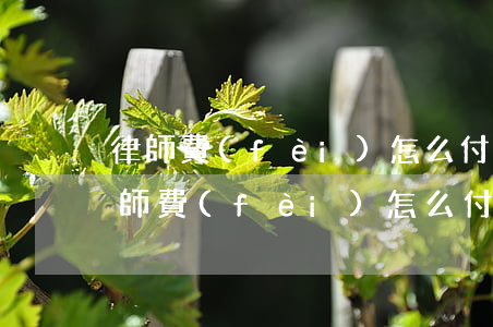 律師費(fèi)怎么付(請律師對方上訴,律師費(fèi)怎么付)