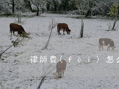 律師費(fèi)怎么收