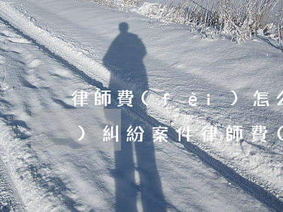 律師費(fèi)怎么收取(房產(chǎn)糾紛案件律師費(fèi)怎么收取)