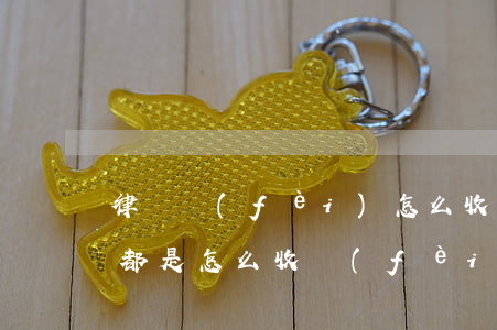 律師費(fèi)怎么收費(fèi)(律師都是怎么收費(fèi)的)