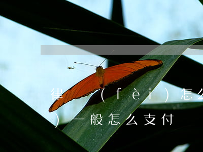 律師費(fèi)怎么算的(律師費(fèi)一般怎么支付)