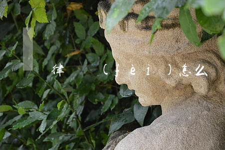 律師費(fèi)怎么這么貴