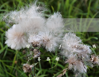 律師費(fèi)收費(fèi)計(jì)算器(律師費(fèi)收費(fèi)計(jì)算器下載)
