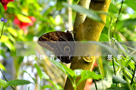 律師費(fèi)是多少錢(律師的律師費(fèi)標(biāo)準(zhǔn)是多少?)