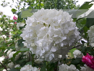 律師費(fèi)有收費(fèi)標(biāo)準(zhǔn)嗎(律師費(fèi)用怎么收費(fèi)標(biāo)準(zhǔn))