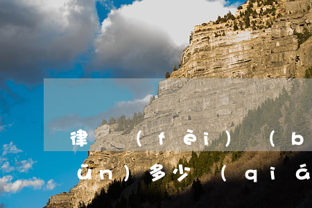 律師費(fèi)標(biāo)準(zhǔn)多少錢(qián)(律師費(fèi)需要多少錢(qián))
