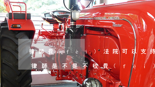 律師費(fèi)法院可以支持嗎(法院里的律師是不是不收費(fèi))