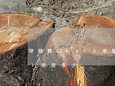 律師費(fèi)率是多少(律師費(fèi)率是多少)