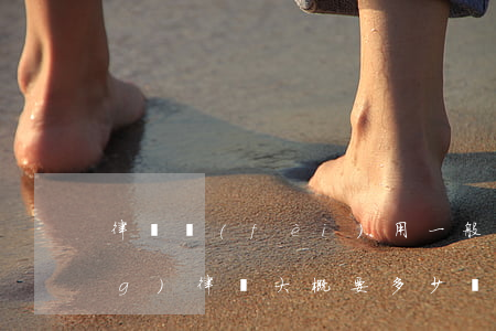 律師費(fèi)用一般怎么收(請(qǐng)律師大概要多少錢(qián))