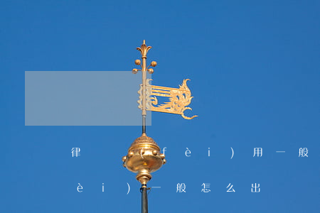 律師費(fèi)用一般怎么給(律師費(fèi)一般怎么出)