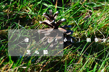 律師費(fèi)用多少(律師費(fèi)怎么算)