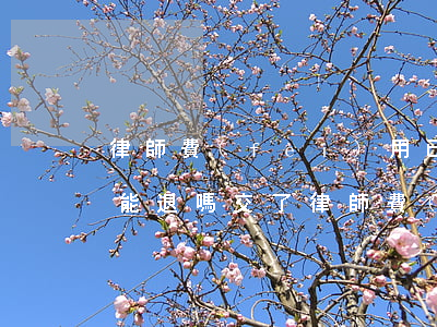 律師費(fèi)用已經(jīng)交了 能退嗎(交了律師費(fèi)沒有起訴能不能退錢)