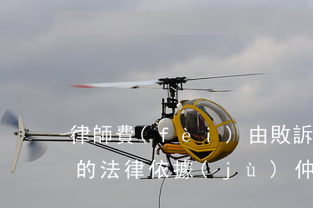 律師費(fèi)由敗訴方承擔(dān)的法律依據(jù)(仲裁律師費(fèi)由敗訴方承擔(dān)的法律依據(jù))