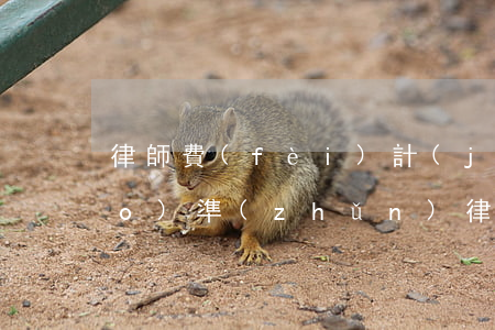 律師費(fèi)計(jì)算標(biāo)準(zhǔn)(律師費(fèi)用收取標(biāo)準(zhǔn)計(jì)算)