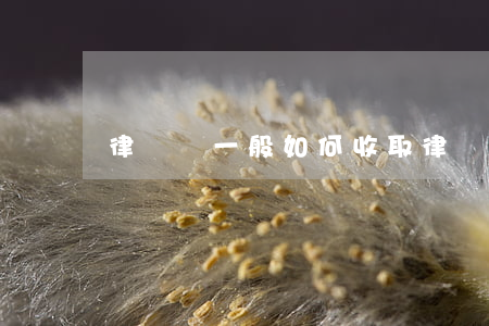 律師費一般如何收取，律師怎么收費的