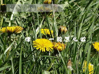 律師費一般怎么收費為標準(律師費用怎么收費標準)