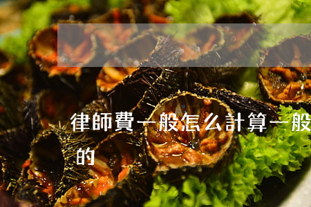 律師費一般怎么計算(一般律師費用是怎么算的)