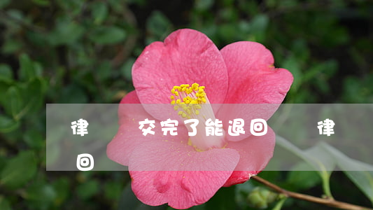 律師費交完了 能退回來嗎(律師費交完了,能退回來嗎)