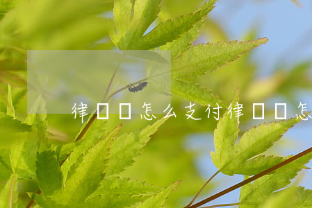 律師費怎么支付(律師費怎么支付劃算)