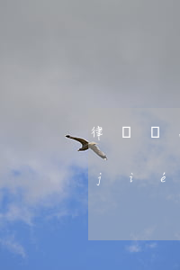 律師費怎么支付 要注意哪些細(xì)節(jié)(律師費一般怎么支付)