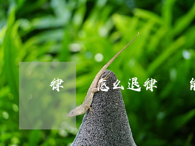 律師費怎么退(律師費能退回來嗎)