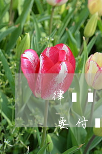律師費敗訴了還需要付嗎(律師費敗訴了還需要付嗎)