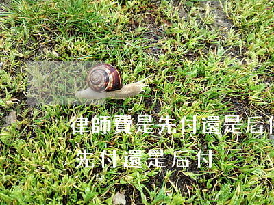 律師費是先付還是后付 可以退嗎(付律師費是先付還是后付)