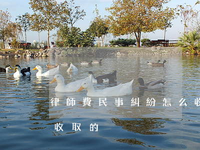 律師費民事糾紛怎么收取(律師訴訟費用怎么收取的)