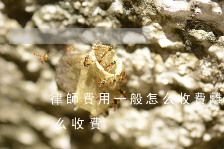 律師費用一般怎么收費(離婚律師費用一般怎么收費)