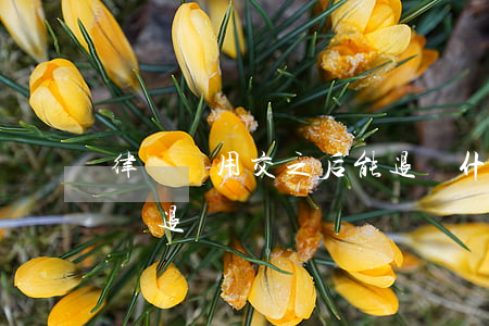 律師費用交之后能退嗎(什么情況下可以讓律師退費)