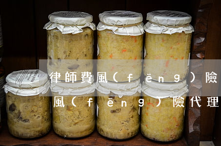 律師費風(fēng)險代理最高收費(律師風(fēng)險代理費收取標(biāo)準(zhǔn))