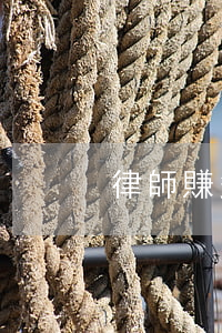 律師賺多少(律師事務(wù)所能賺多少錢)