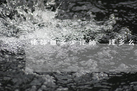 律師賺多少(律師掙錢多么)