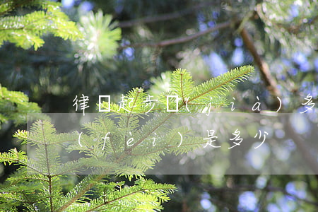 律師起步價(jià)多少錢(律師正常收費(fèi)是多少)