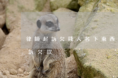律師起訴欠錢人名下東西會拍賣嗎-律師起訴欠款